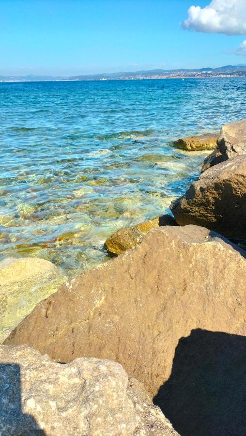 Six Fours Les Plages - Le Brusc - Vue Mer, Climatise Apartment Six-Fours-les-Plages